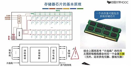 计算机组成原理 第三章 存储系统 2 主存储器的基本组成