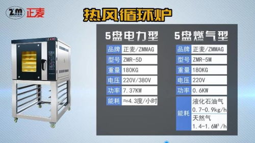 正麦热风循环炉电力燃气烤炉产品介绍品牌工厂