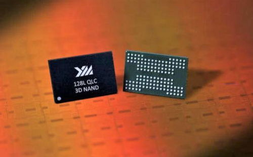 突破美韩垄断 这家公司四年突围，年产量占全球存储器市场8%
